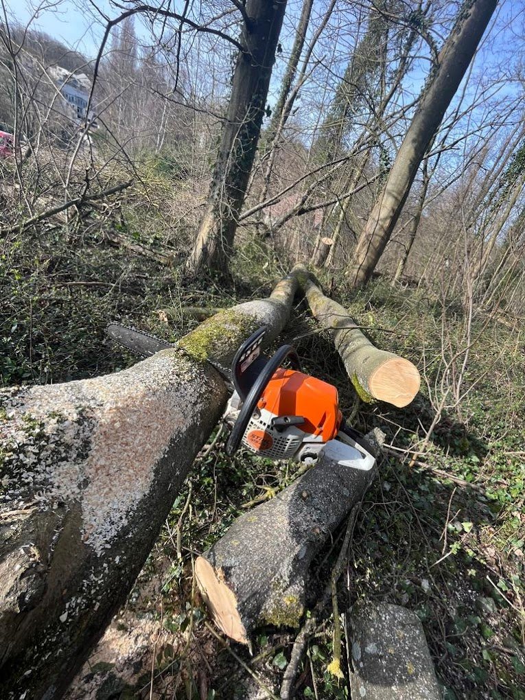 nos divers réalisations - Photo 2