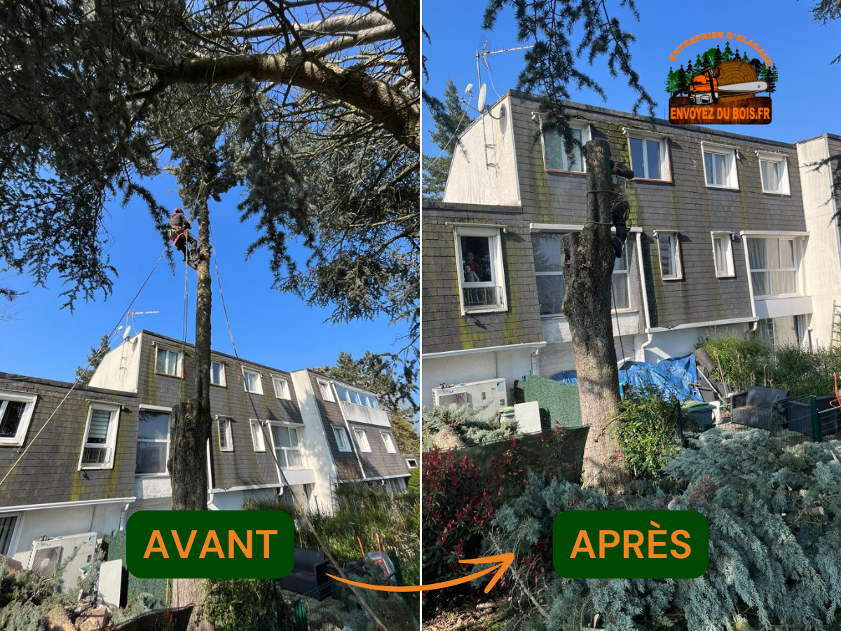 nos divers réalisations - Photo 3